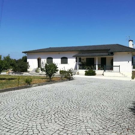 Casa Dos Lacos Viseu Bagian luar foto