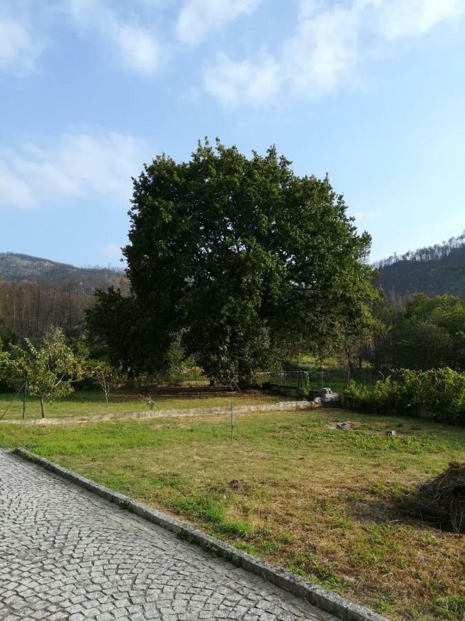 Casa Dos Lacos Viseu Bagian luar foto